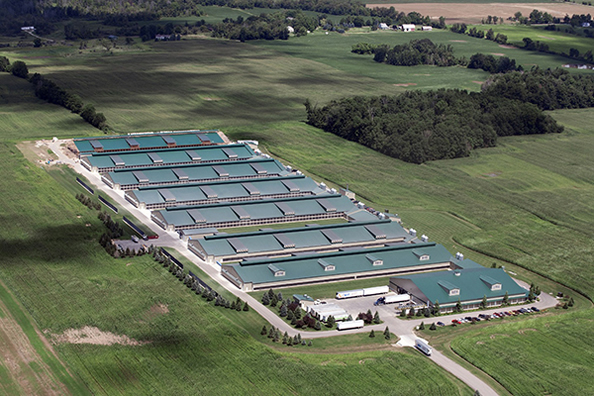 Analizadores Co., Ltd de Ningbo